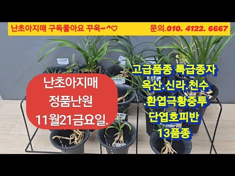 유튜브 썸네일