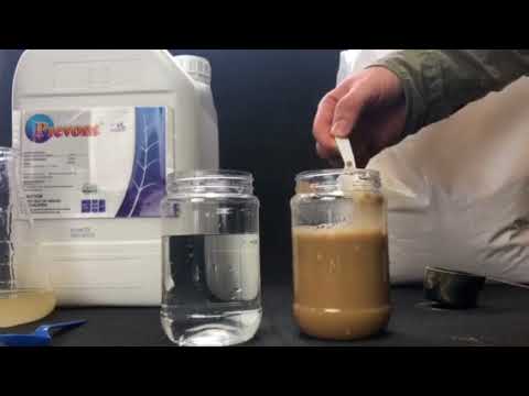 Bacillus subtilis - product mixing