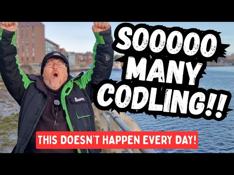 Non‑Stop Codling -  Smith's Dock - River Tyne - North East Sea Fishing