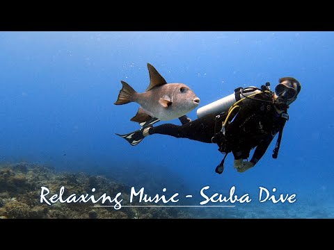 Scuba diving and ocean underwater life - 1 HOUR of relaxing music to calm you