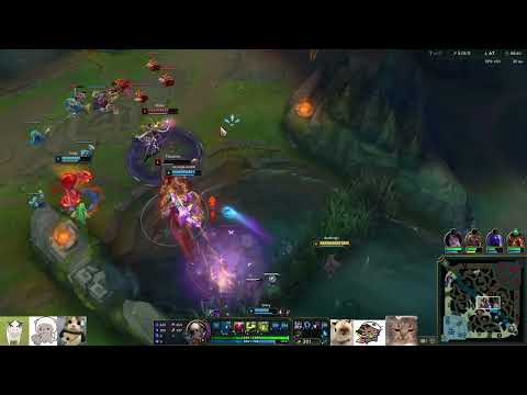 duoking1 │ Zyra vs Viktor │ 23 Dec 2024