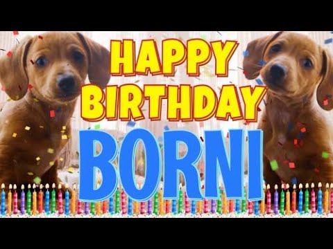 Happy Birthday Borni! ( Funny Talking Dogs ) What Is Free On My Birthday
