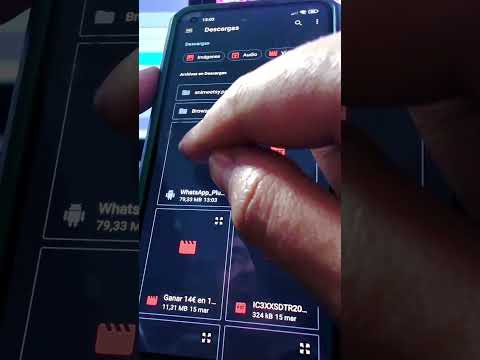Identifica los archivos más grandes