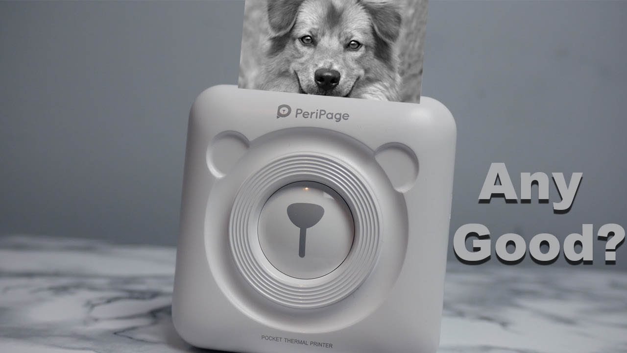 Mini Inkless Thermal Printer - PeriPage ANY GOOD!?