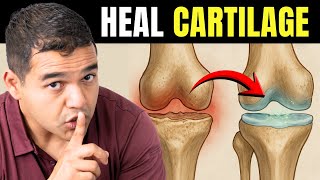 This is How Knee Cartilage Can Heal (Even Bone-On-Bone)