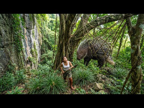 30 Days Young Girl Sets Porcupine Traps in the Forest and Builds a Shelter , Free Bushcraft