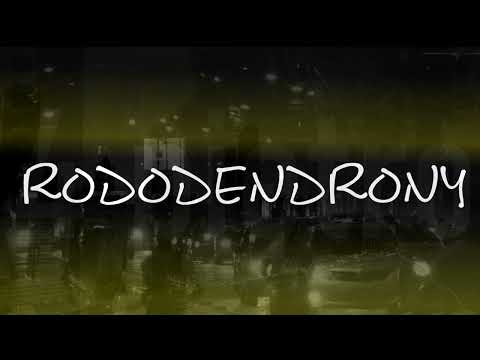 4 PIĘTRO — Rododendrony (Prod. Chomik)