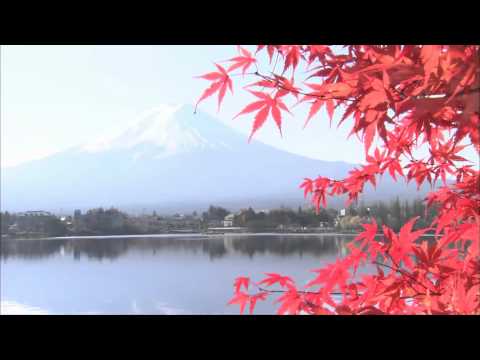 河口湖の紅葉（フルHD映像）