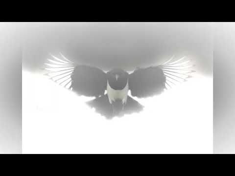 Mejz x SrokaDNP - Zapomniane dzieci