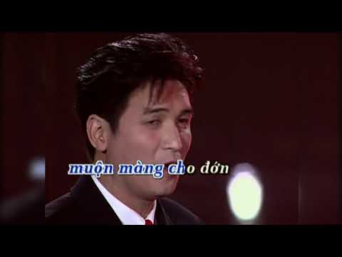 Karaoke | Như Đã Dấu Yêu (Hương Lan & Nguyễn Hưng)