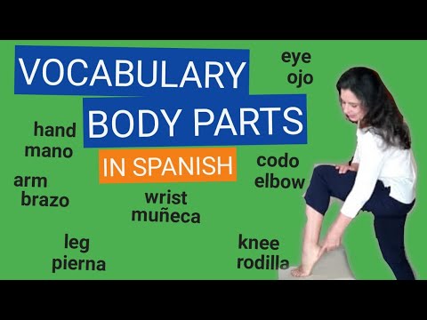 LEARN BODY WORDS IN SPANISH FOR DAILY CONVERSATION - 60 BODY WORDS VOCABULARY AND PHRASES