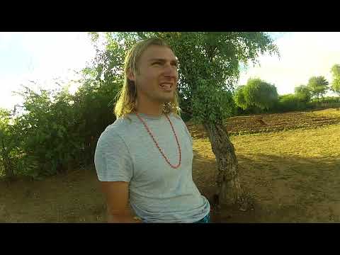 Ilchamus trees: Sokotei (salvadora persica) Roots for medicine