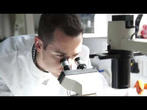 Culture of Critique for Normies - Part V - The Frankfurt School!