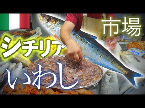 トロギール - 定義