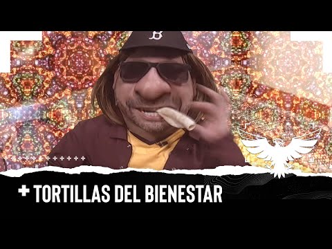 TORTILLAS DEL BIENESTAR - EL PULSO DE LA REPÚBLICA