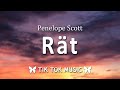 Penelope Scott - Rat (Lyrics) 