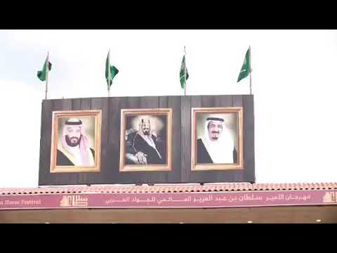 Arabian horses festival