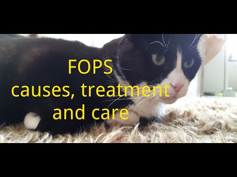 FOPS Causes, Treatment and Care #FOPS