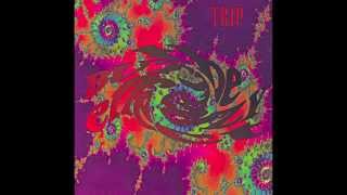 The Butterfly Effect - Sister of Shiva