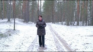 1177. Хлеб на каждый день. Вечно ли будет пожирать меч?
