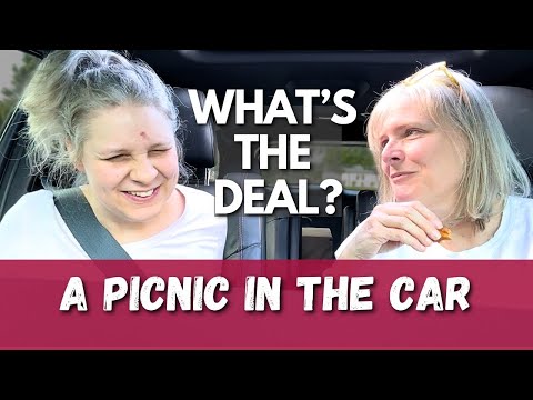 What's the Deal? A Picnic in the Car