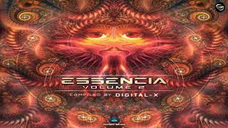 Exolon - Drop Of Strings