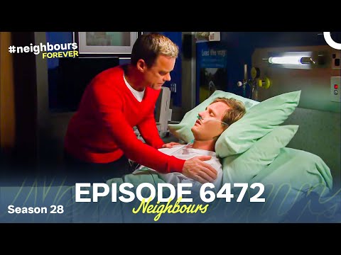 Neighbours Season 28 Episode 6472 (2012)