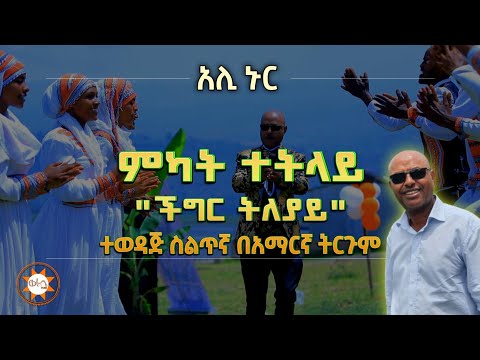 Ethiopia: የአሊ ኑር ተወዳጅ ስልጥኛ በአማርኛ ትርጉም "ምካት ተትላይ" (ችግር ትለያይ) |Ali Nur Ethiopian Siltie