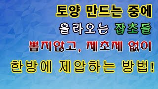 [텃밭농부.723]  토양을 만드는 중에 올라오는 잡초를 손쉽게 제거하는 방법