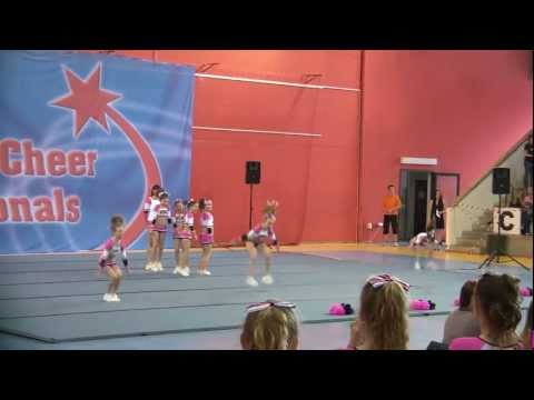 BSH Babies MCHČR 2012