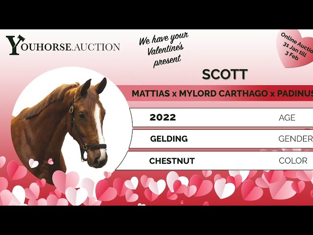 Scott loose jumping @ home