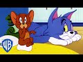 Tom & Jerry | Jerry's Funniest Moments! 🐭 | WB Kids