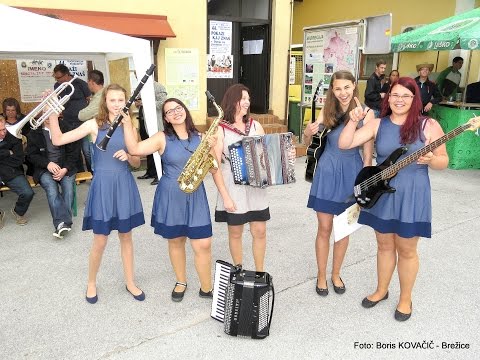 Kvintet SESTRE KR (Laško)-Naj živi vesela družba (v živo)