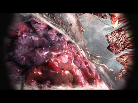 blitz the league pc gameplay