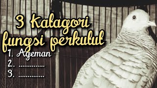 Download lagu 3 katagori tujuan atau fungsi memelihara perkutut lokal  @perkututklangenanchannel7514 mp3