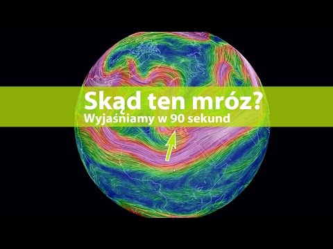 Koślawego płaskostopie kobiety Narośla kostne na palcach