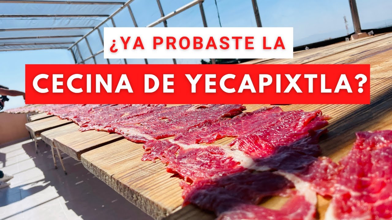 La mejor CECINA de México | Visitando el pueblo de YECAPIXTLA