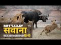 Rift Valley, Savannah [2024] हिन्दी डॉक्यूमेंट्री | Wildlife documentary in Hindi