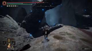 エルデンリング #14.5 DLCやってくぞ～