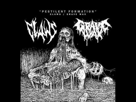 Claws- Reaching for the Rotting