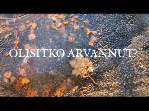 Olisitko arvannut?