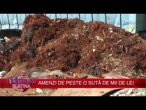 AMENZI DE PESTE O SUTĂ DE MII DE LEI (08.03.2017)