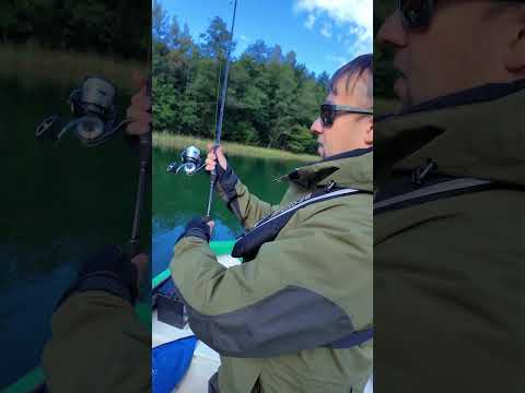 Wędka Mikado SKY DREAM EVO 229cm / 3-14g