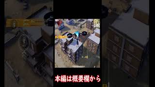 【荒野行動】戦績ガチ勢の61ueをシーズン初日に野良クインに連れて行ってみたｗｗ　#shorts