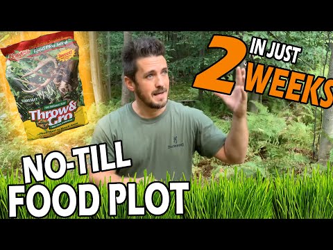 🌱No Till Food Plot🍀Grows in Just 2 Weeks - Evolved Habitats Harvest Throw & Gro Review. Grow Demo