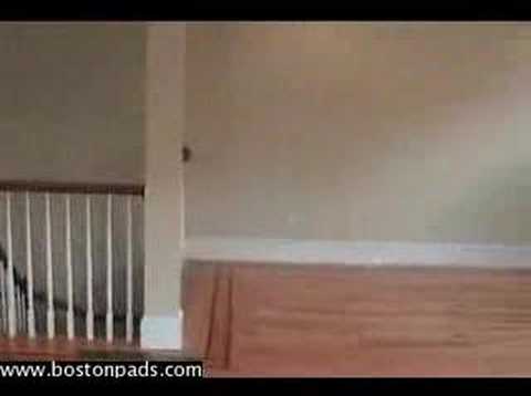 Boston Apartment | South Boston Real Estate