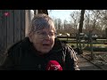 Paard weggehaald na waterballet in Almeerse stal: 'Regenafvoer is stuk'