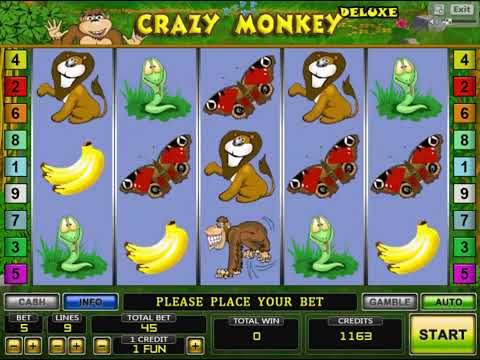Crazy Monkey. More High Limit Slots. #1✍️🤩 🥳👍🔔
