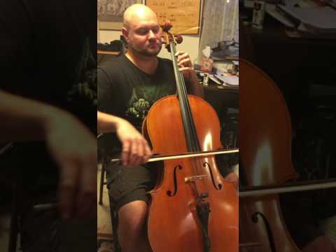 Piatti Book II, No. 9 Kummer