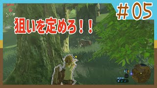 【BtoW】この世の原理を知らない　寄り道がメインのゼルダの実況　05
